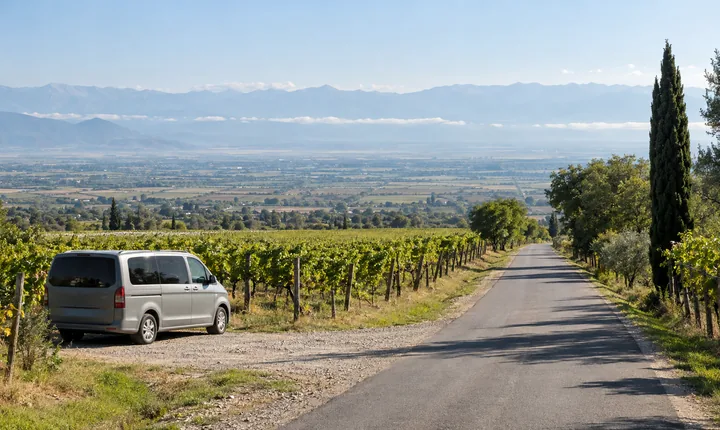 A passenger van beside a quiet lane through green vineyards in Kakheti
