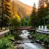 Tbilisi to Borjomi: 5 Travel Options (2026)