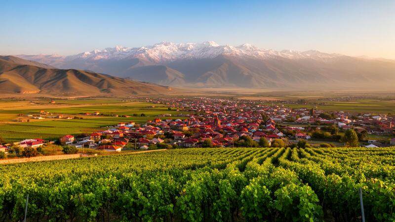 Kakheti by Car: Vineyards & 8,000 Years of Wine