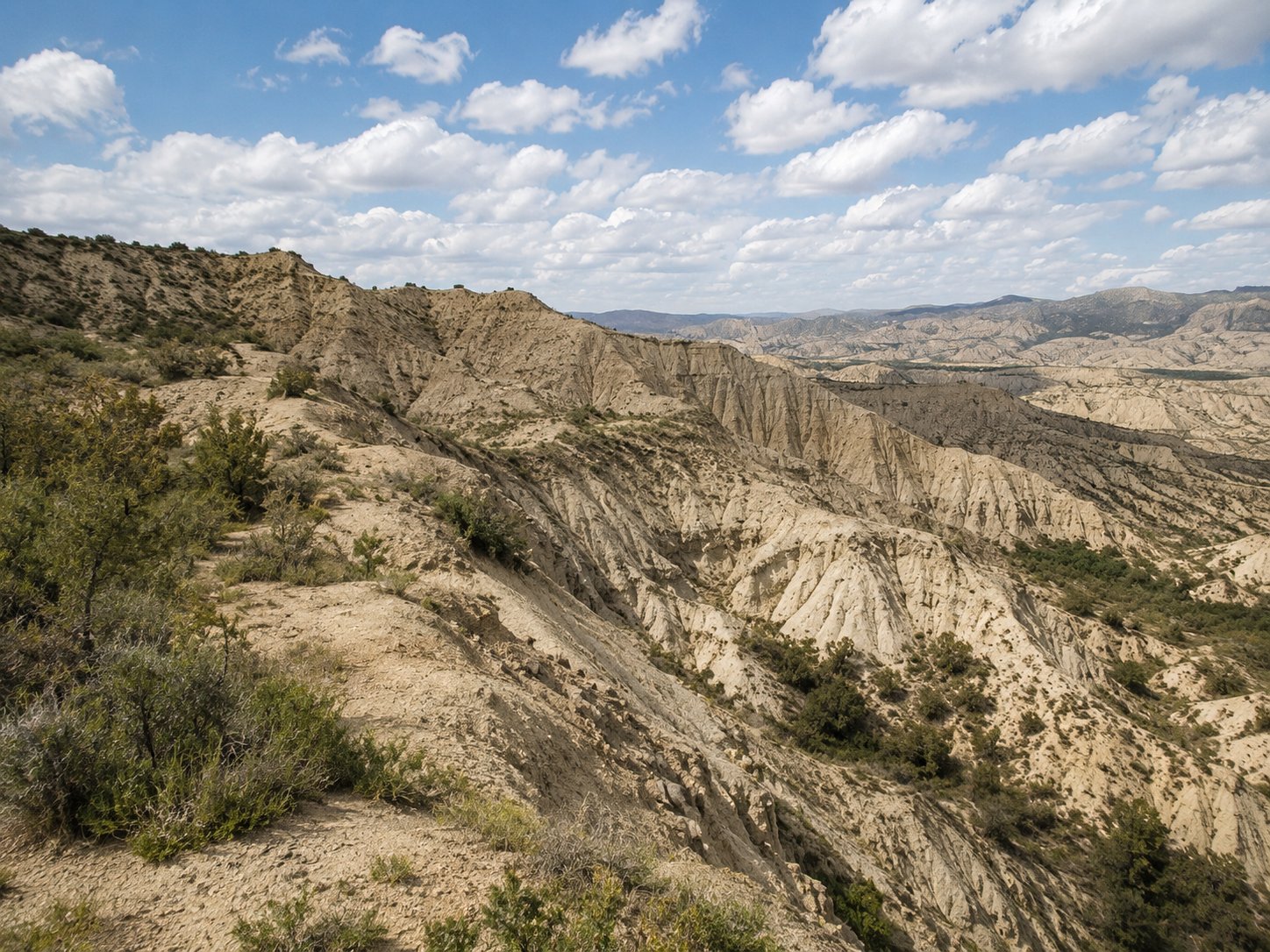 Vashlovani National Park: Full Guide (2026)