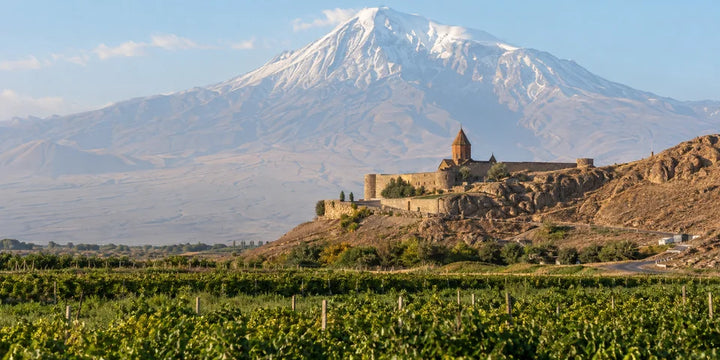 دير Khor Virap وطريق الوصول إليه تحت جبل Ararat المغطى بالثلوج