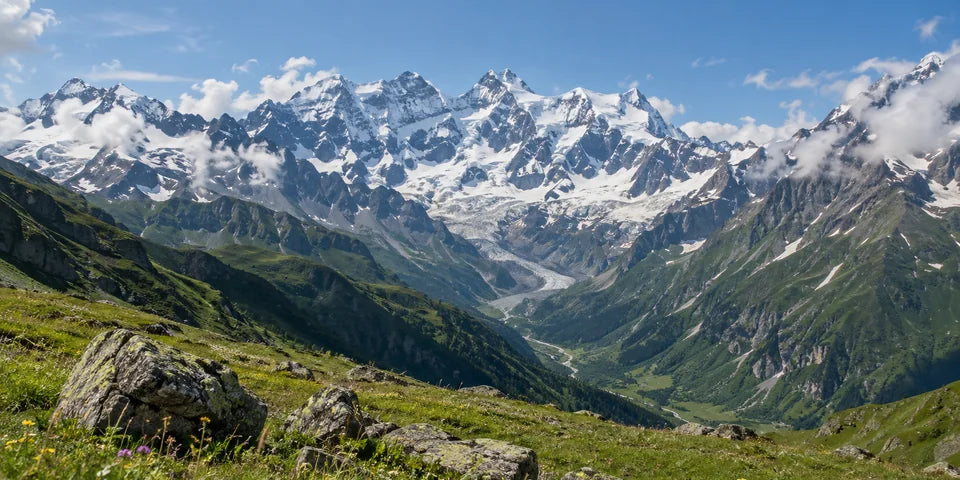 Schneebedeckte Caucasus-Gipfel und ein Gletscher über einer sommerlichen Almwiese