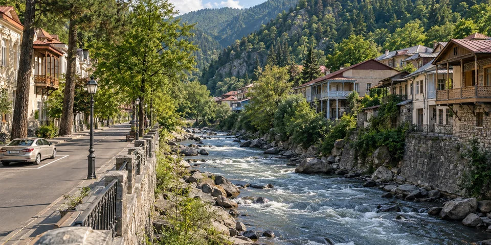 A parked sedan beside a riverside street and wooded valley in Borjomi