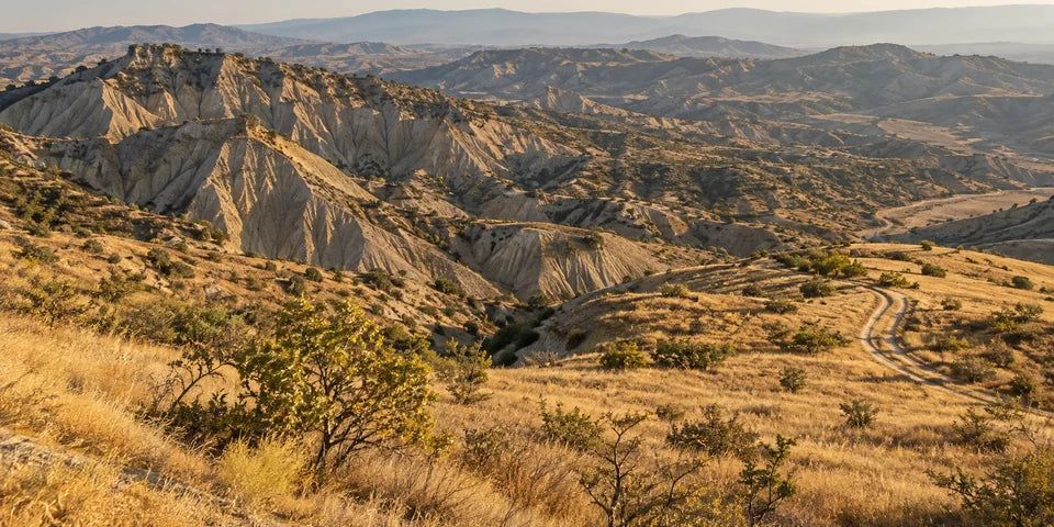Eroded clay badlands and golden steppe in Georgia's Vashlovani Protected Areas